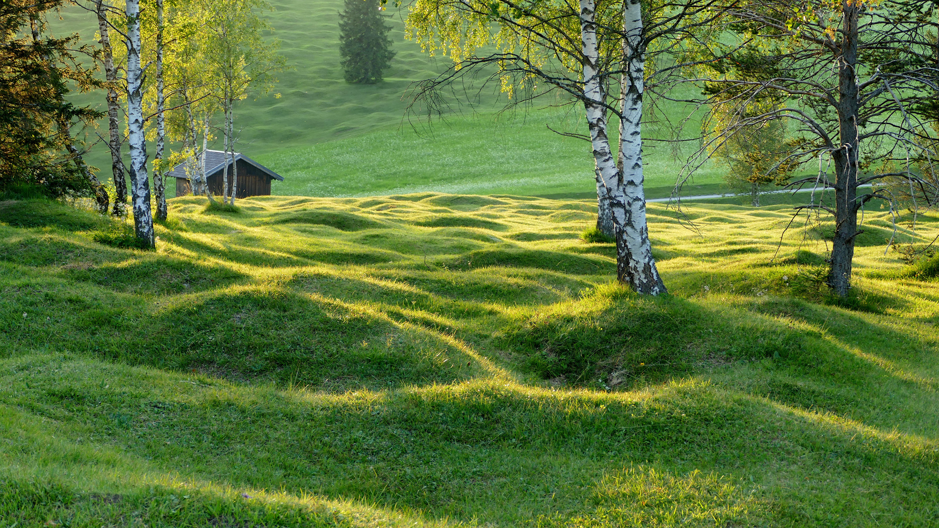 Buckelwiesen zwischen Krün und Mittenwald